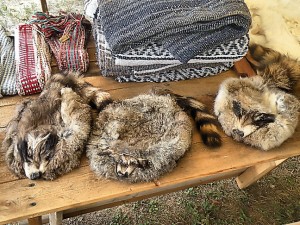 Raccoon hats, Caseyville Frontier Days / Photo by Roger Starkey