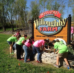 Some of the 2014 Collinsville Middle School Hoolos working at Willoughby Farm / submitted photo