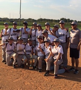 The 2014 Collinsville Middle School baseball team / Submitted photo